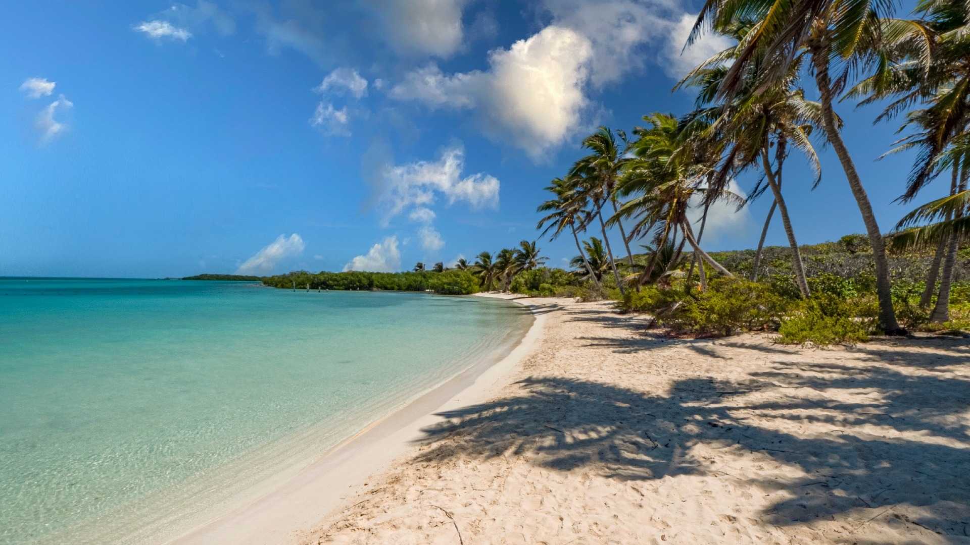 tours a isla contoy desde cancun